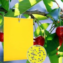 Skadedjur & Insekter-2023 - 100 Stycken Gula Dubbelsidiga Flugfällor, Dubbelsidiga Gula Fällor För Flygande Insekter - Växthus