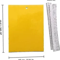 Skadedjur & Insekter-2023 - 100 Stycken Gula Dubbelsidiga Flugfällor, Dubbelsidiga Gula Fällor För Flygande Insekter - Växthus