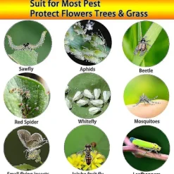 Skadedjur & Insekter-2023 - 100 Stycken Gula Dubbelsidiga Flugfällor, Dubbelsidiga Gula Fällor För Flygande Insekter - Växthus