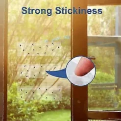 Skadedjur & Insekter-50 Ark Klar Fönster Flugfångare Flugpapperstejp med Klister 20x7cm