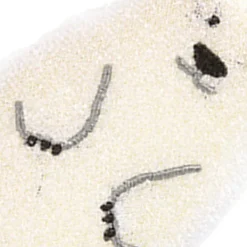 Svampar & Dukar-2 st diskborste svamp dubbelsidig diskborste hängande typ tecknad björn kopp borste rengöringsduk liten björnstil