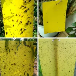 Skadedjur & Insekter-5 ST Flugfångare Dubbelsidig Gula klibbiga fällor Flygande insekt as the picutre