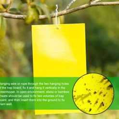 Skadedjur & Insekter-5 ST Flugfångare Dubbelsidig Gula klibbiga fällor Flygande insekt as the picutre