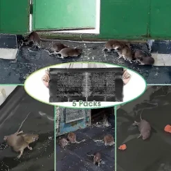 Skadedjur & Insekter-5 st Förbättrad Klibbighet Extra Stor Musfälla Klibbig Musmatta - 120*27.5CM