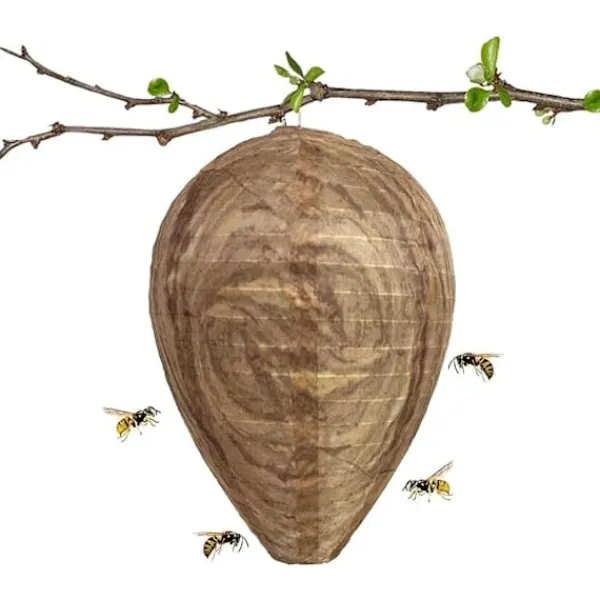 Skadedjur & Insekter-4 st Getingfällor Giftfritt Lockbete av Papper, Avskräckande för Bin - Getingbo