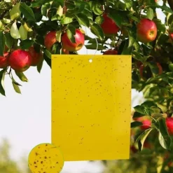 Skadedjur & Insekter-50 st Insektsfällor, Dubbelsidiga Klisterfällor, Gult Anti-Insekts Papper Anti-Vita Flugor Ark, för Trädgårdsväxt Fl