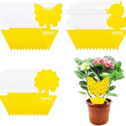 Skadedjur & Insekter-60 st Insektsfällor, Gula Flugfällor Självhäftande Växtskydd, Anti-knott inomhus, Flugfångare för Kök