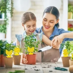Skadedjur & Insekter-60 st Insektsfällor, Gula Flugfällor Självhäftande Växtskydd, Anti-knott inomhus, Flugfångare för Kök