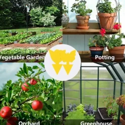 ShineX Skadedjur & Insekter-100 st självhäftande flugfällor insektfälla