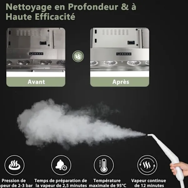 COSTWAY Ångtvättar-Bärbar Handhållere Steam Cleaner 1000W Sängbuggar - 300ml Tank 10 Tillbehör Temperatur 95°C 3 Bar