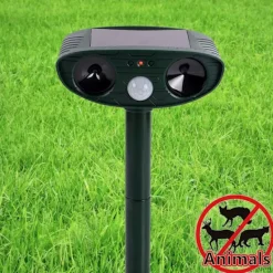 Skadedjur & Insekter-Djurskrämma med blixt