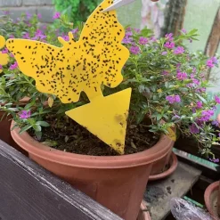 Skadedjur & Insekter-Effektiva flugfångare med klister - 100 pack