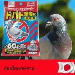 Skadedjur & Insekter-Effektivt fågelmedel för duvor Duvor Måsar | Stoppa Dropping Droppings Droppings | Tak och balkong | Anti-Pest