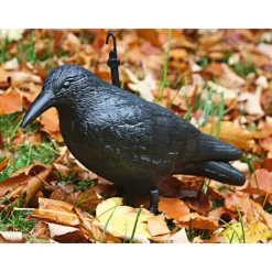 Skadedjur & Insekter-Fågelavskräckande starar duvor gnagare stora xxl