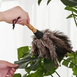 Dammsugare & Tillbehör-Fjäderdammsvippa Mjuk Antistatisk Miljövänlig Tvättbar Återvinningsbar Rengöring Strutsfjäder Trähandtag Fluffig Dammvippa För Hemmet