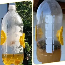 Skadedjur & Insekter-Fälla för asiatisk bålgeting, mikrogeting, getingfälla bifångare plast insektfälla getingfälla fångare, 6 stycken