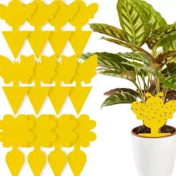 Skadedjur & Insekter-Flugfälla / Flugfångare - 3 olika former