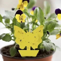 Skadedjur & Insekter-Flugfälla / Flugfångare - 3 olika former