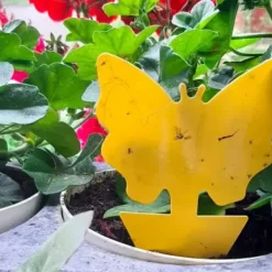 Skadedjur & Insekter-Flugfälla / Flugfångare - 3 olika former