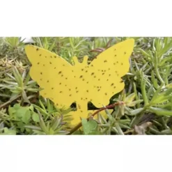 Skadedjur & Insekter-Flugfälla / Flugfångare - 3 olika former