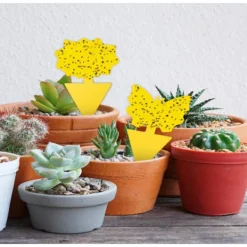 Skadedjur & Insekter-Flugfångare / Flugfälla / 20 pack Bi