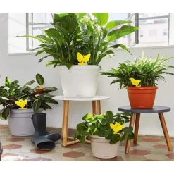 Skadedjur & Insekter-Flugfångare / Flugfälla / 20 pack Bi