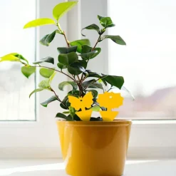 Skadedjur & Insekter-Flugfångare / Flugfälla / 20 pack Bi