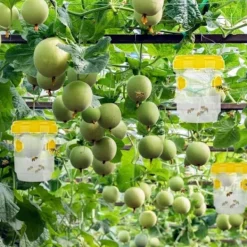 Skadedjur & Insekter-Geting- och bålgetingsfälla utomhus, utomhus getingfälla, bålgetingsfällsats för inomhusflaska, myggfälla, 4 st