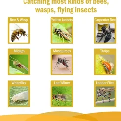 Skadedjur & Insekter-Getingfälla - Getingfångare, Bifälla, Fruktflugfälla, Bålgetingsfälla