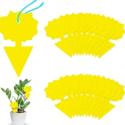 Skadedjur & Insekter-Gul klibbig insektsfångare, 10 st dubbelsidiga fruktflugfällor för växtskydd utomhus inomhus trädgård (blomma)