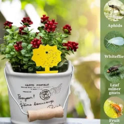 Skadedjur & Insekter-Gul klibbig insektsfångare, 10 st dubbelsidiga fruktflugfällor för växtskydd utomhus inomhus trädgård (blomma)