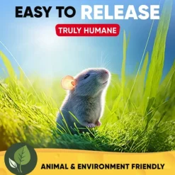 del Skadedjur & Insekter-IC inomhusmusfällor för hem Levande musfälla Fånga och släpp musfällor