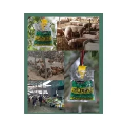 del Skadedjur & Insekter-IC Koolmei 6-pack Hängande Flugfälla Engångsfälla för Flugor