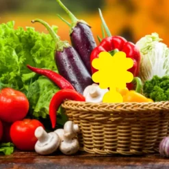 INF Skadedjur & Insekter-Klibbig fälla för skadeinsekter på krukväxter Flugfångare 12-pack