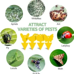 Skadedjur & Insekter-Insektfälla 48 st, Flugfälla Klibbig Dubbelsidig Gul Flugfälla