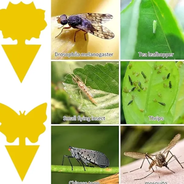 Skadedjur & Insekter-Insektfällor, 50 st Dubbelsidiga Klibbiga Fällor Vattentäta Gula Flugfällare För Trädgård Växt Blomma Frukt Skydd (2 Former)