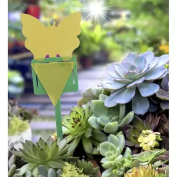 Skadedjur & Insekter-Insektspinnar - 12 st. Repetera 19053—yux 60