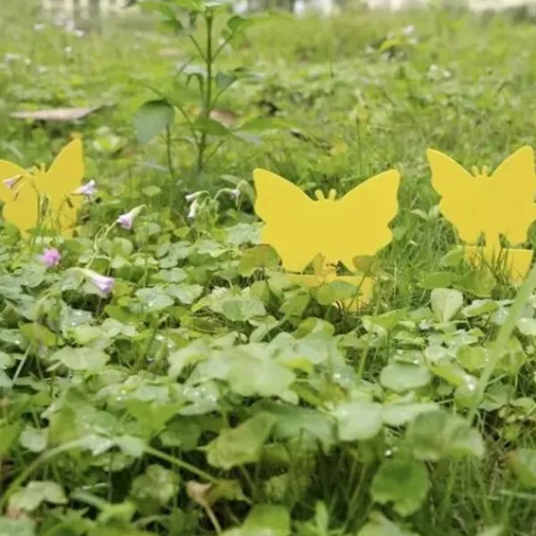 Skadedjur & Insekter-Insektspinnar - 12 st. Repetera 19053—yux 60