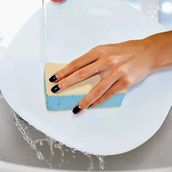 Orion Svampar & Dukar-Kökssvamp 2 st.