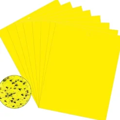 INF Skadedjur & Insekter-Klibbig fälla för skadeinsekter Flugfångare 20-pack 20x10 cm
