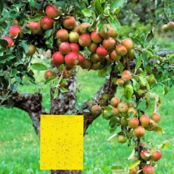 INF Skadedjur & Insekter-Klibbig fälla för skadeinsekter Flugfångare 20-pack 20x10 cm