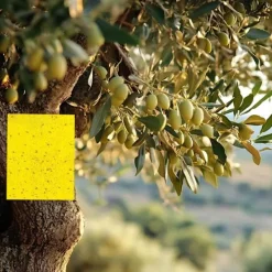 INF Skadedjur & Insekter-Klibbig fälla för skadeinsekter Flugfångare 20-pack 20x10 cm