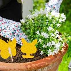 INF Skadedjur & Insekter-Klibbig fälla mot bananflugor och skadedjur på krukväxter 60-pack