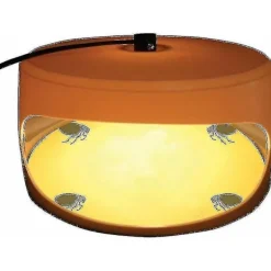 FMYSJ Skadedjur & Insekter-Klibbig loppfälla, vägglusfälla, giftfri och luktfri, lätt loppfälla för barn och husdjur (FMY)