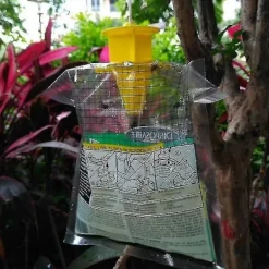 Skadedjur & Insekter-Koolmei 6-pack Hängande Flugfångarpåse