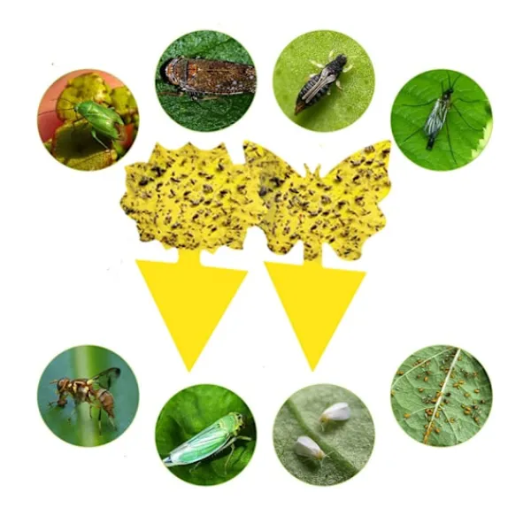 Skadedjur & Insekter-Mordely Flugfångare / Flugfälla / 20 pack Bi