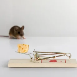 B2X Skadedjur & Insekter-Musfälla träset med 40 st