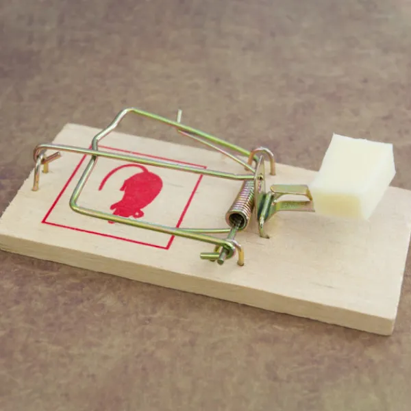 B2X Skadedjur & Insekter-Musfälla träset med 40 st