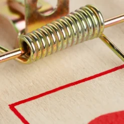 B2X Skadedjur & Insekter-Musfälla träset med 40 st