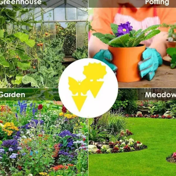 Skadedjur & Insekter-100-pack - Flugfälla / Flugfälla / Myggfångare - Fångar flugor Gul